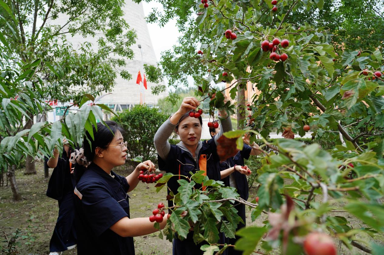 云顶集团4008(中国)官方网站